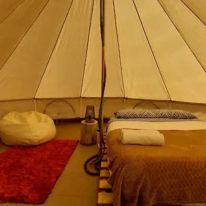  Luxury tent Nature Retreat - Laurel Forest